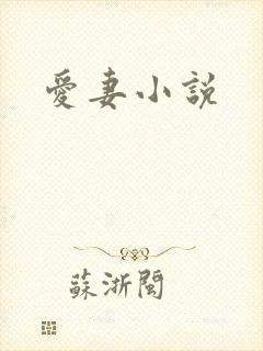 爱妻小说