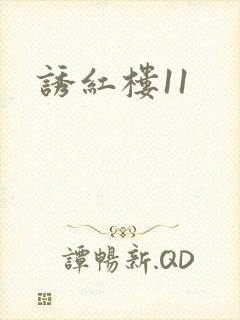 诱红楼11