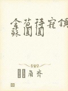 含苞待宠镇国公苏圆圆