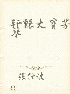 轩辕大宝芳菲雅琴