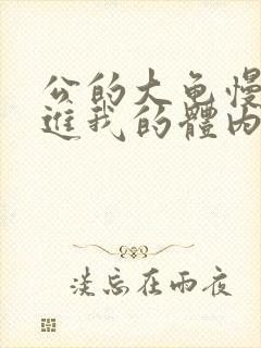 公的大龟慢慢挺进我的体内视频