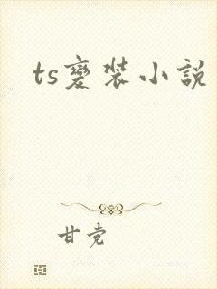 ts变装小说