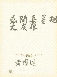 盛开长着翅膀的大灰狼