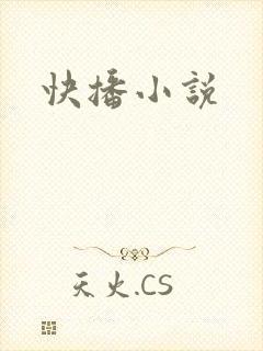 快播小说