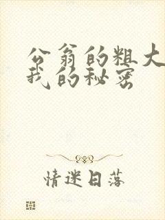 公翁的粗大放进我的秘密