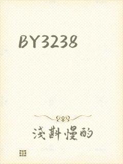 BY3238