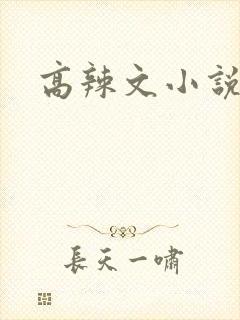 高辣文小说