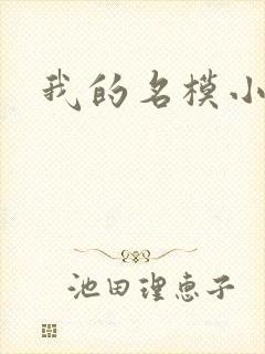 我的名模小娇妻