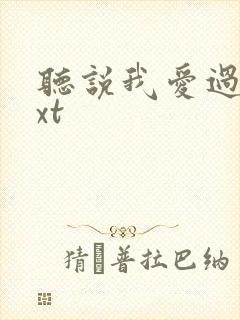 听说我爱过你txt