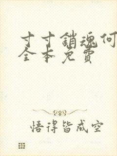 寸寸销魂何生祥全本免费