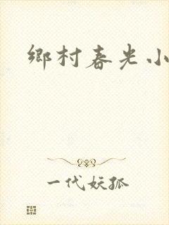 乡村春光小说