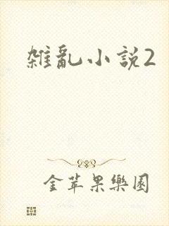 杂乱小说2