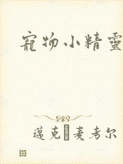 宠物小精灵漫画