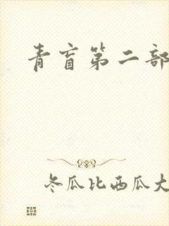 青盲第二部
