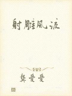 射雕风流