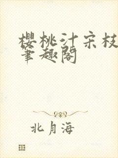 樱桃汁宋枝江野笔趣阁