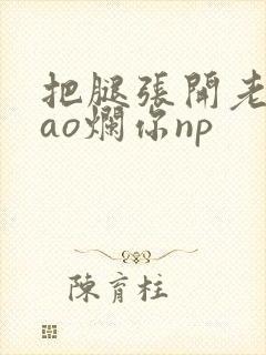 把腿张开老子cao烂你np