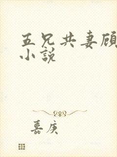 五兄共妻顾心儿小说