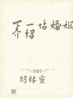 下一站婚姻剧情介绍