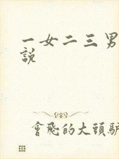 一女二三男事小说