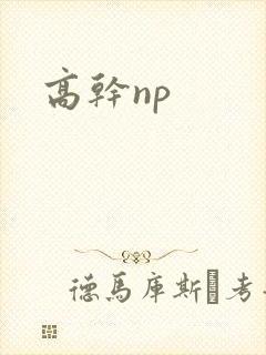 高干np