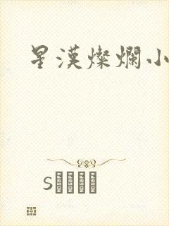星汉灿烂小说