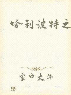 哈利波特之守护