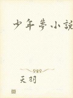 少年梦小说