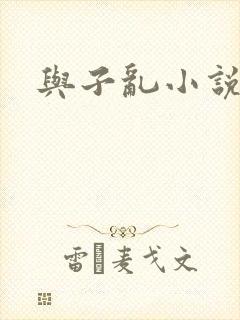 与子乱小说