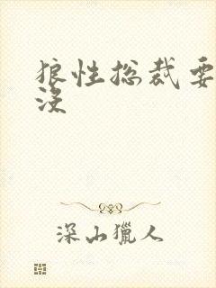 狼性总裁要够了没
