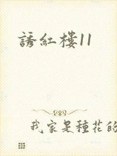 诱红楼11