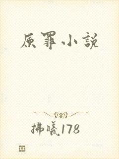 原罪小说