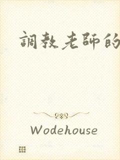 调教老师的小说