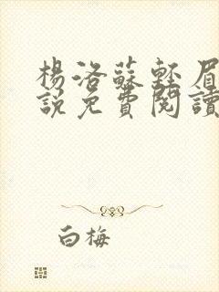 杨洛苏轻眉笔小说免费阅读