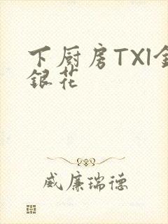 下厨房TXl金银花