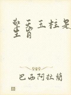 擎天玉柱是什么生肖