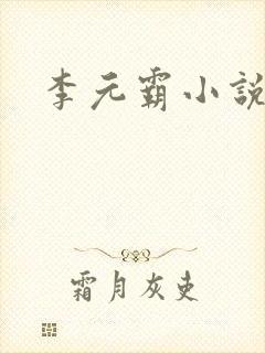 李元霸小说