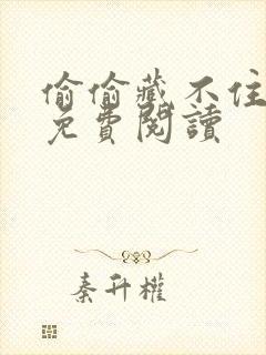 偷偷藏不住小说免费阅读