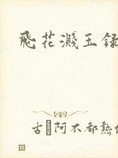 飞花溅玉录