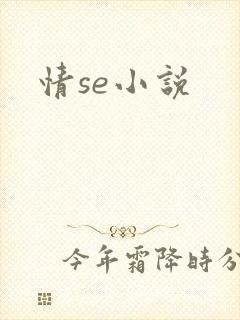 情se小说