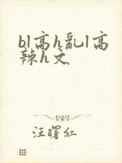 bl高h乱l高辣h文