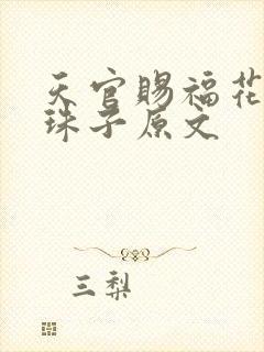 天官赐福花怜塞珠子原文