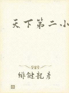 天下第二小说