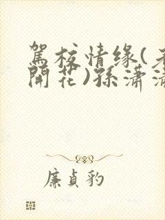 驾校情缘(老树开花)孙潇潇笔趣阁