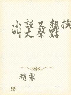 小说又想挨C了叫大声点