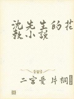 沈先生的花式管教小说