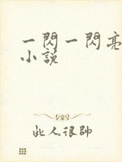 一闪一闪亮星星小说