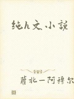 纯h文小说