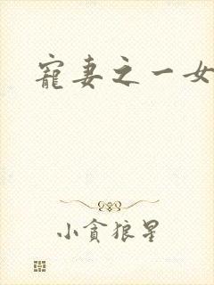 宠妻之一女二夫