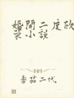 婚开二度欣欣向荣小说